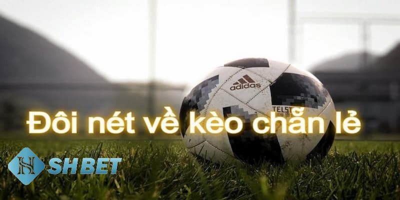 kèo chẵn lẻ là gì kèo chẵn lẻ là gì