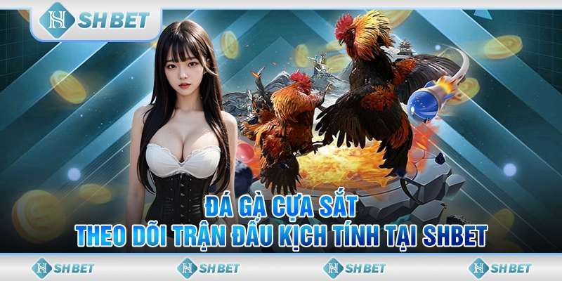 đá gà cựa sắt