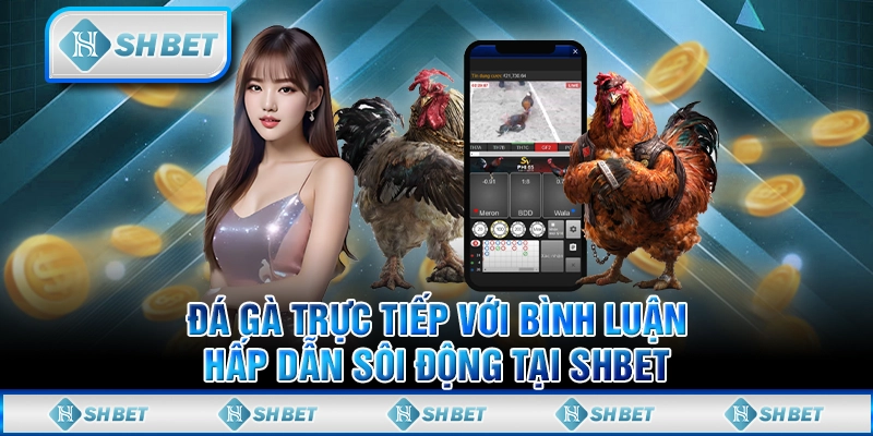 Đá Gà Trực Tiếp Bình Luận Hấp Dẫn Sôi Động Tại SHBET