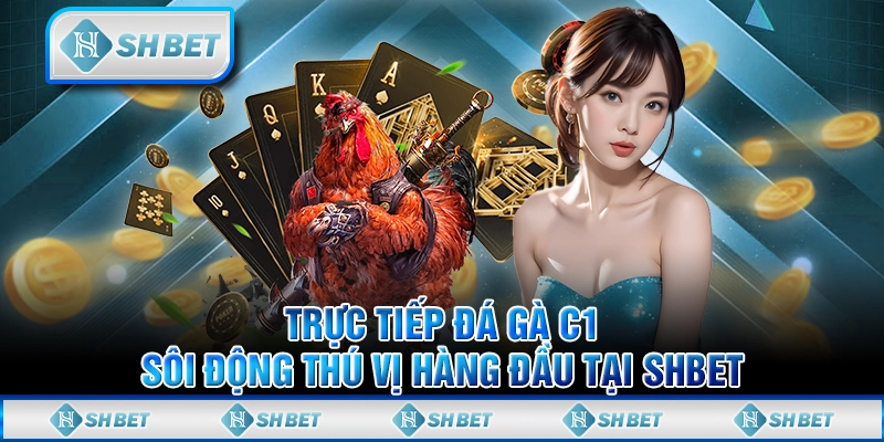 Trực Tiếp Đá Gà C1 Sôi Động Thú Vị Hàng Đầu Tại SHBET