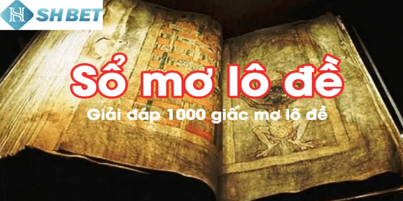 Sổ mơ lô đề vô cùng phổ biến với người chơi lô đề online