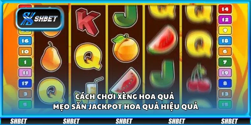 Cách chơi xèng hoa quả - Mẹo săn Jackpot hoa quả hiệu quả